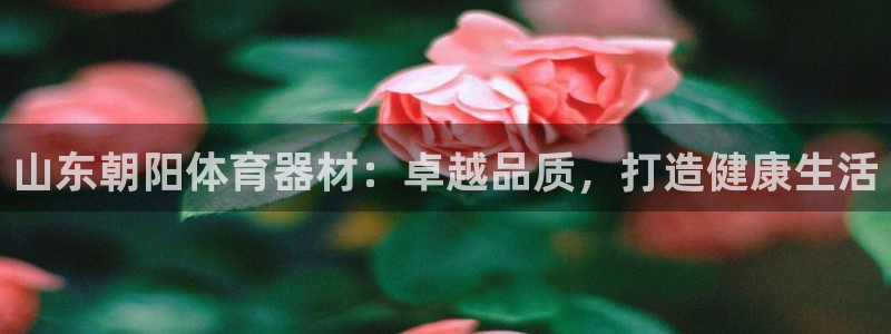 极悦平台代理电话：山东朝阳体育器材：卓越品质，打造健