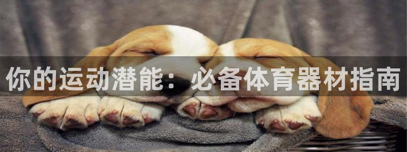 极悦官网下载最新版本更新内容：你的运动潜能：必备体育