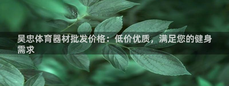 极悦平台平台登录入口：吴忠体育器材批发价格：低价优质