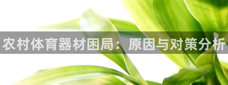 极悦娱乐官方网站：农村体育器材困局：原因与对策分析