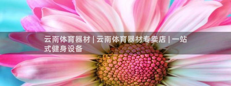 极悦娱乐挂机赚钱是真的吗知乎：云南体育器材 | 云南