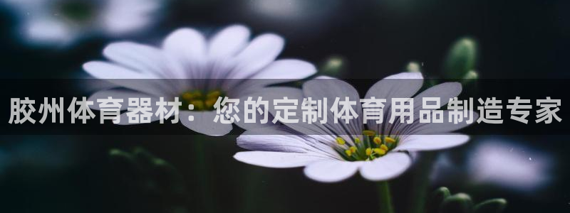 极悦平台注册官方网站下载安卓：胶州体育器材：您的定制
