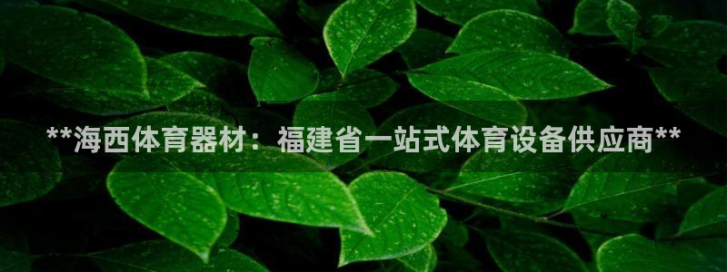 极悦平台注册和登录页面在哪：**海西体育器材：福建省