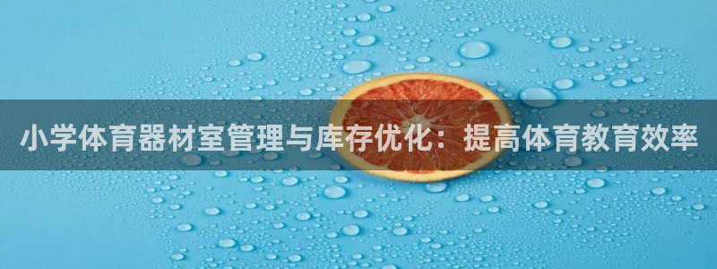 极悦平台决7O777：小学体育器材室管理与库存优化：