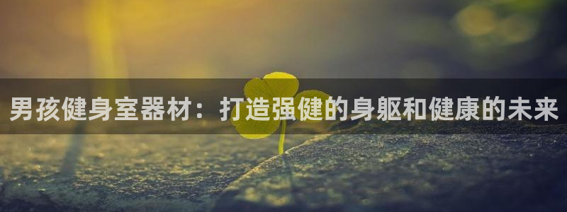 极悦平台注册流程详解视频：男孩健身室器材：打造强健的