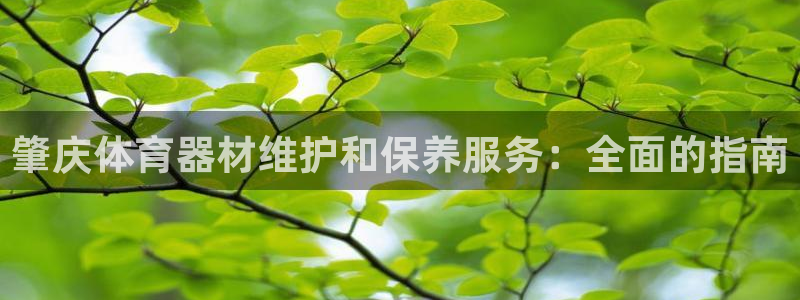 极悦平台股东是谁：肇庆体育器材维护和保养服务：全面的