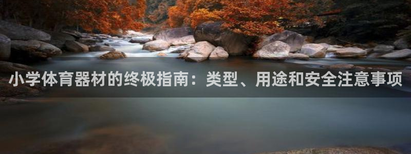 极悦平台注册官方网站下载安卓手机：小学体育器材的终极