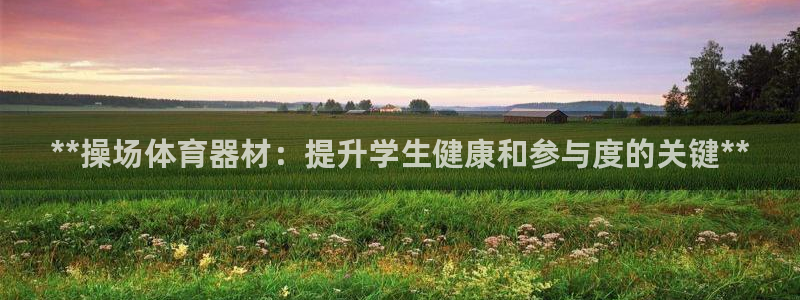 极悦平台注册用户名格式不正确：**操场体育器材：提升