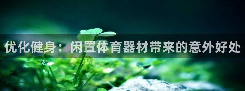 极悦娱乐代理：优化健身：闲置体育器材带来的意外好处