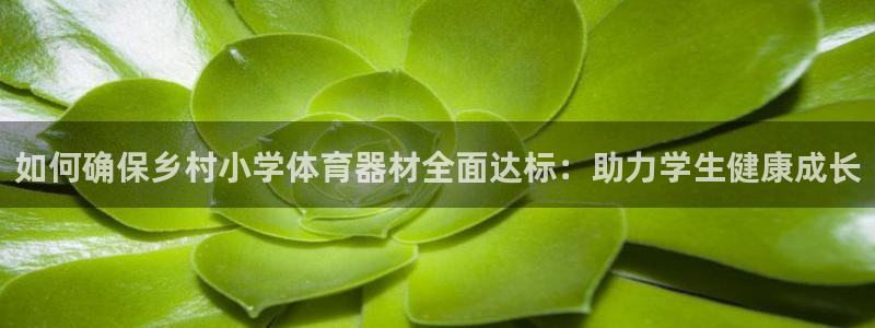 极悦平台登录不进去怎么回事：如何确保乡村小学体育器材