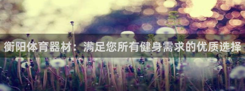 极悦娱乐代理怎么样：衡阳体育器材：满足您所有健身需求