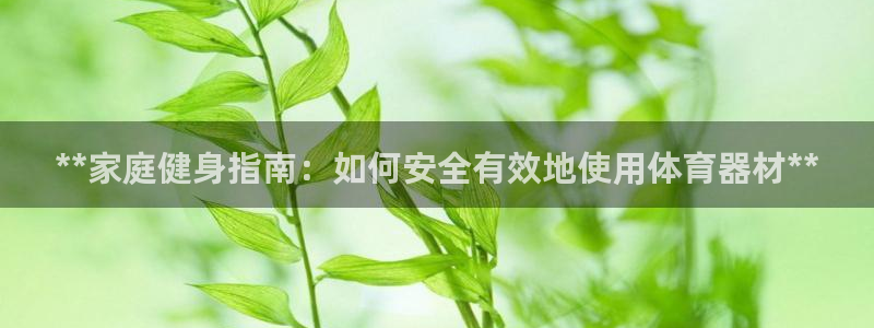 极悦平台登录7.0.2.4手机版下载安卓：**家庭健