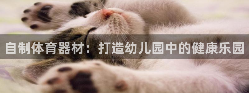 极悦平台登录方式是什么：自制体育器材：打造幼儿园中的