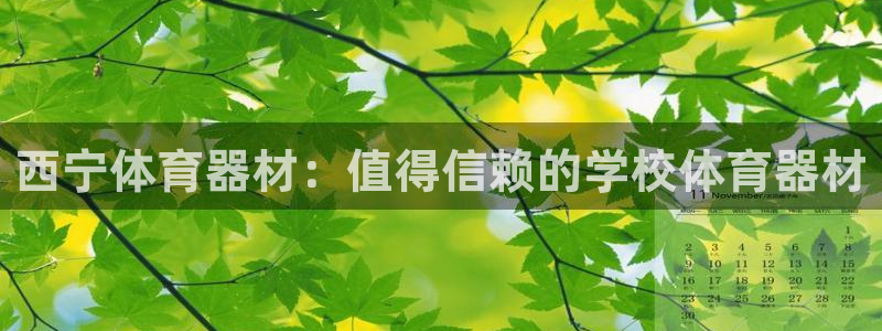 极悦娱乐百科百度：西宁体育器材：值得信赖的学校体育器
