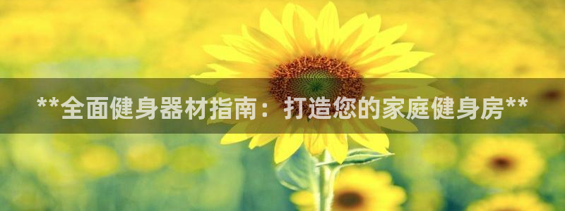 极悦平台有风险吗现在：**全面健身器材指南：打造您的