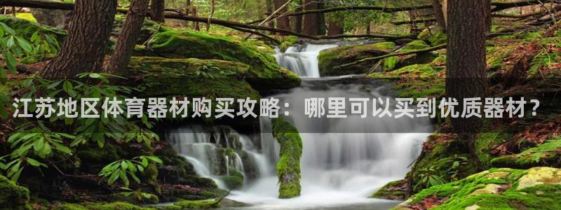 极悦平台注册申请流程详解图片：江苏地区体育器材购买攻
