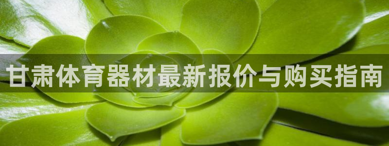 极悦牙膏怎么样好不好：甘肃体育器材最新报价与购买指南