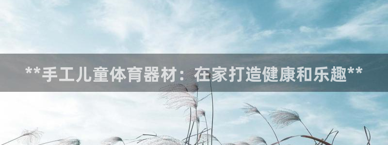 极悦平台登录不进去怎么回事儿：**手工儿童体育器材：