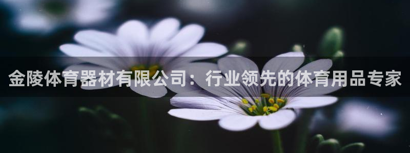极悦官网入口登录网址：金陵体育器材有限公司：行业领先