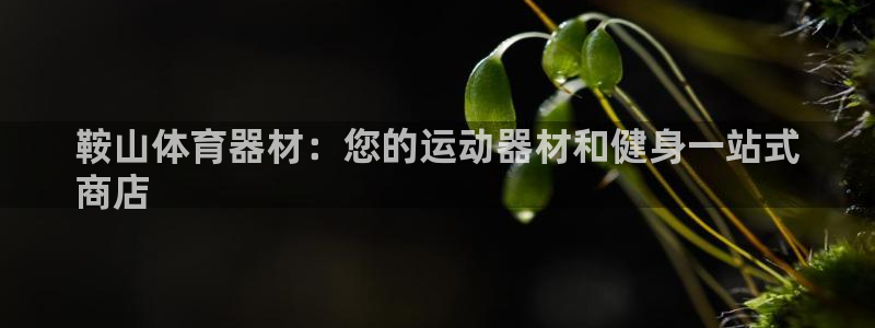 极悦平台官网登录网址：鞍山体育器材：您的运动器材和健
