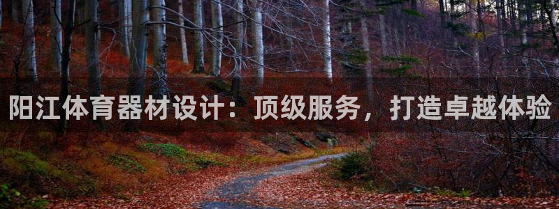 极悦平台是干嘛的公司：阳江体育器材设计：顶级服务，打