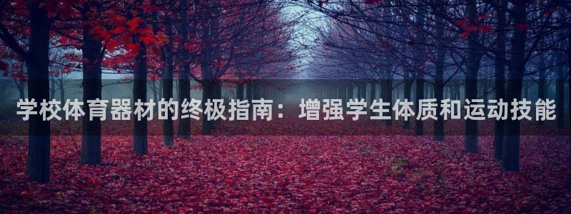 极悦娱乐app官方版本更新内容：学校体育器材的终极指