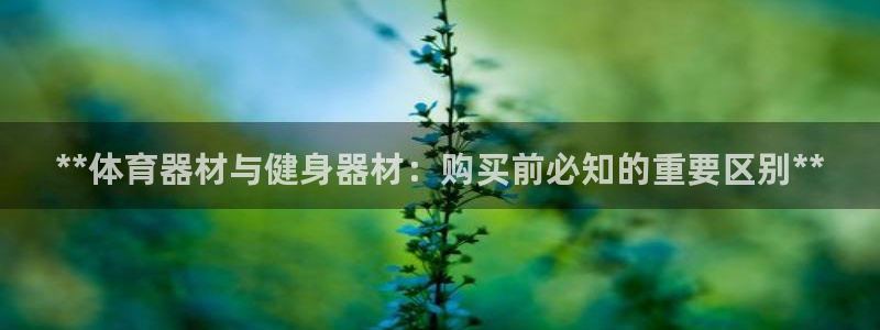 极悦平台注册登录入口：**体育器材与健身器材：购买前