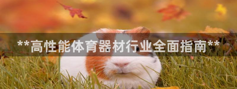 极悦平台注册用户名格式错误：**高性能体育器材行业全
