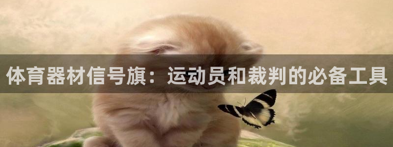 极悦平台客服团队：体育器材信号旗：运动员和裁判的必备