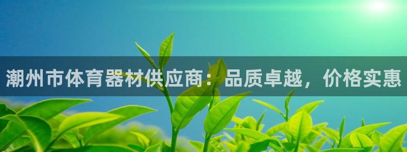 极悦平台注册流程视频：潮州市体育器材供应商：品质卓越