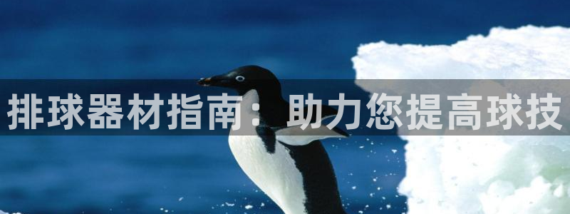 极悦娱乐官网客服联系方式电话：排球器材指南：助力您提