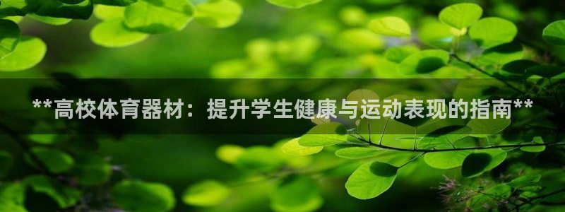 极悦官网注册最新版本更新内容是什么：**高校体育器材