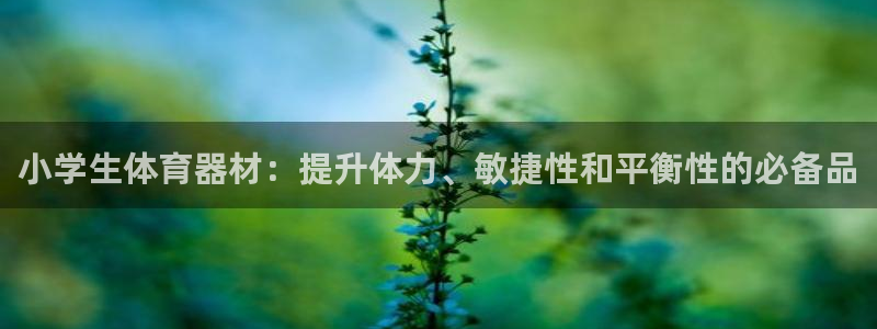 极悦平台城7O777：小学生体育器材：提升体力、敏捷