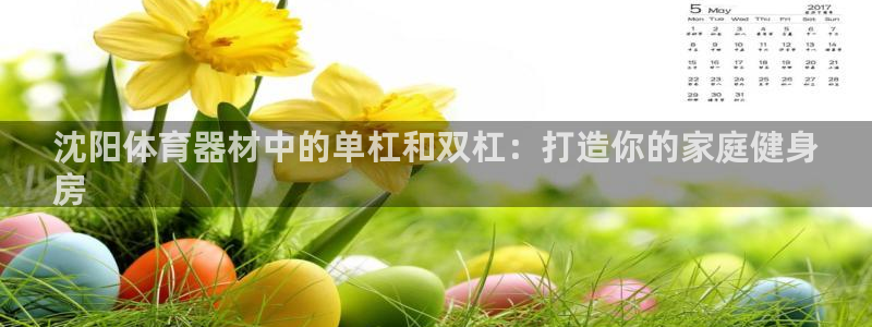极悦官网下载最新版本更新内容：沈阳体育器材中的单杠和