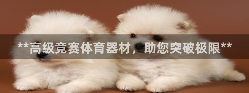 极悦娱乐app官方版本更新内容是什么：**高级竞赛体