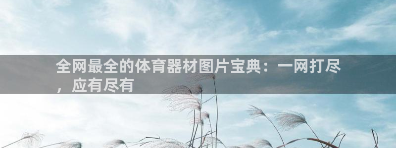 极悦平台使用注意事项：全网最全的体育器材图片宝典：一