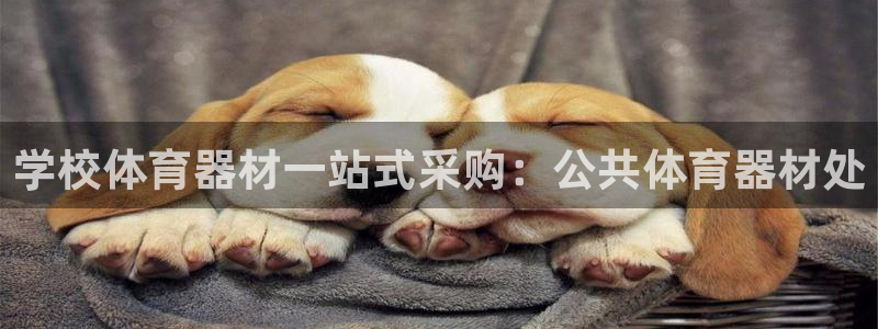 极悦娱乐官网下载app：学校体育器材一站式采购：公共