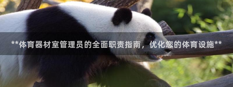 极悦娱乐官方网站：**体育器材室管理员的全面职责指南