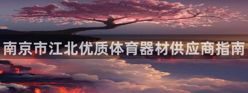 极悦平台客服团队名称：南京市江北优质体育器材供应商指