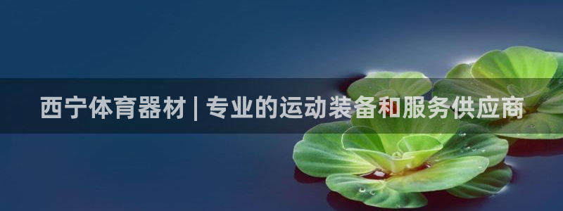 极悦平台和蓝狮平台区别：西宁体育器材 | 专业的运动