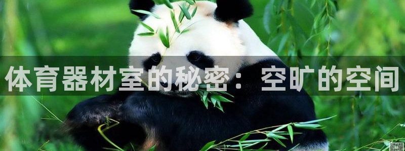 极悦平台客服团队名称：体育器材室的秘密：空旷的空间