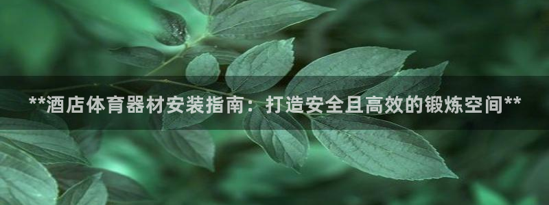 极悦平台官方网址：**酒店体育器材安装指南：打造安全