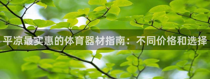 极悦平台用户评价与反馈：平凉最实惠的体育器材指南：不