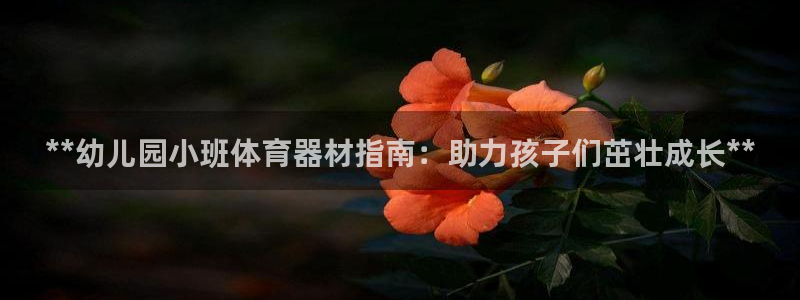 极悦娱乐公司最新招聘信息电话：**幼儿园小班体育器材