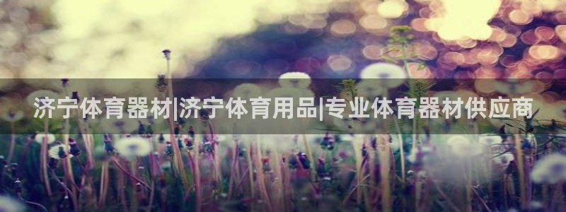 极悦娱乐官网APP下载：济宁体育器材|济宁体育用品|