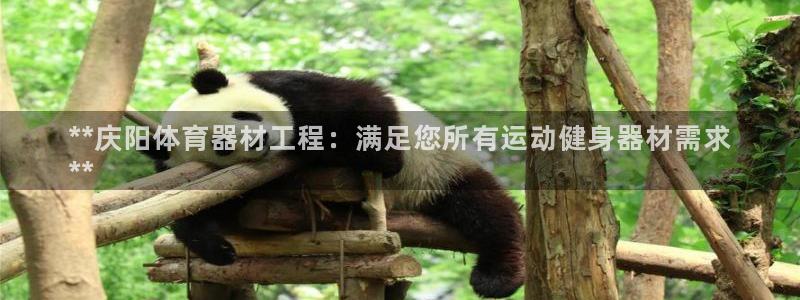 极悦平台用户反馈和反馈的区别：**庆阳体育器材工程：