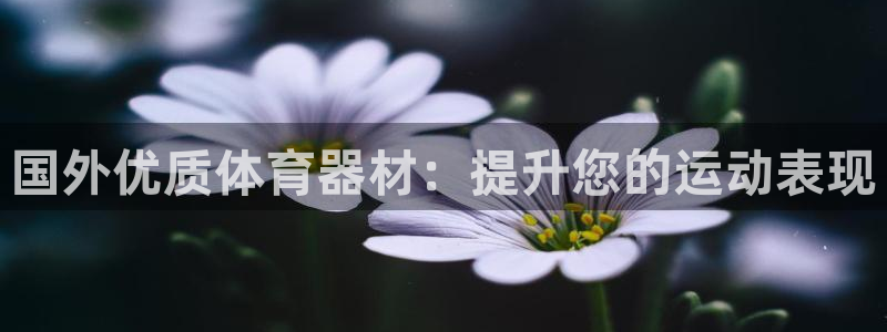 极悦娱乐登录拒绝访问怎么办理：国外优质体育器材：提升