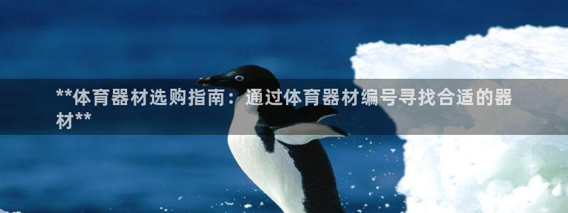 极悦娱乐管理最建议买吗：**体育器材选购指南：通过体
