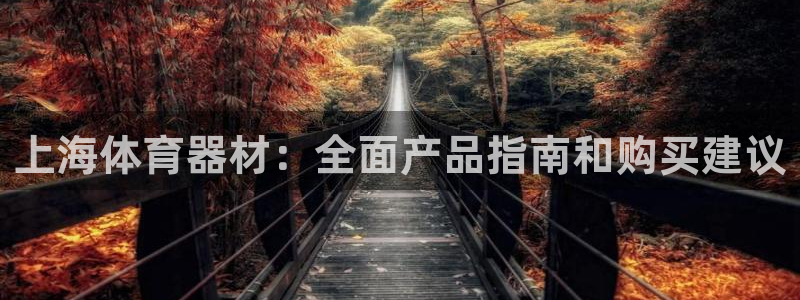 极悦娱乐代理：上海体育器材：全面产品指南和购买建议
