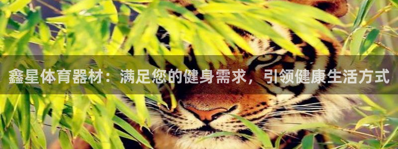 极悦平台代理电话：鑫星体育器材：满足您的健身需求，引